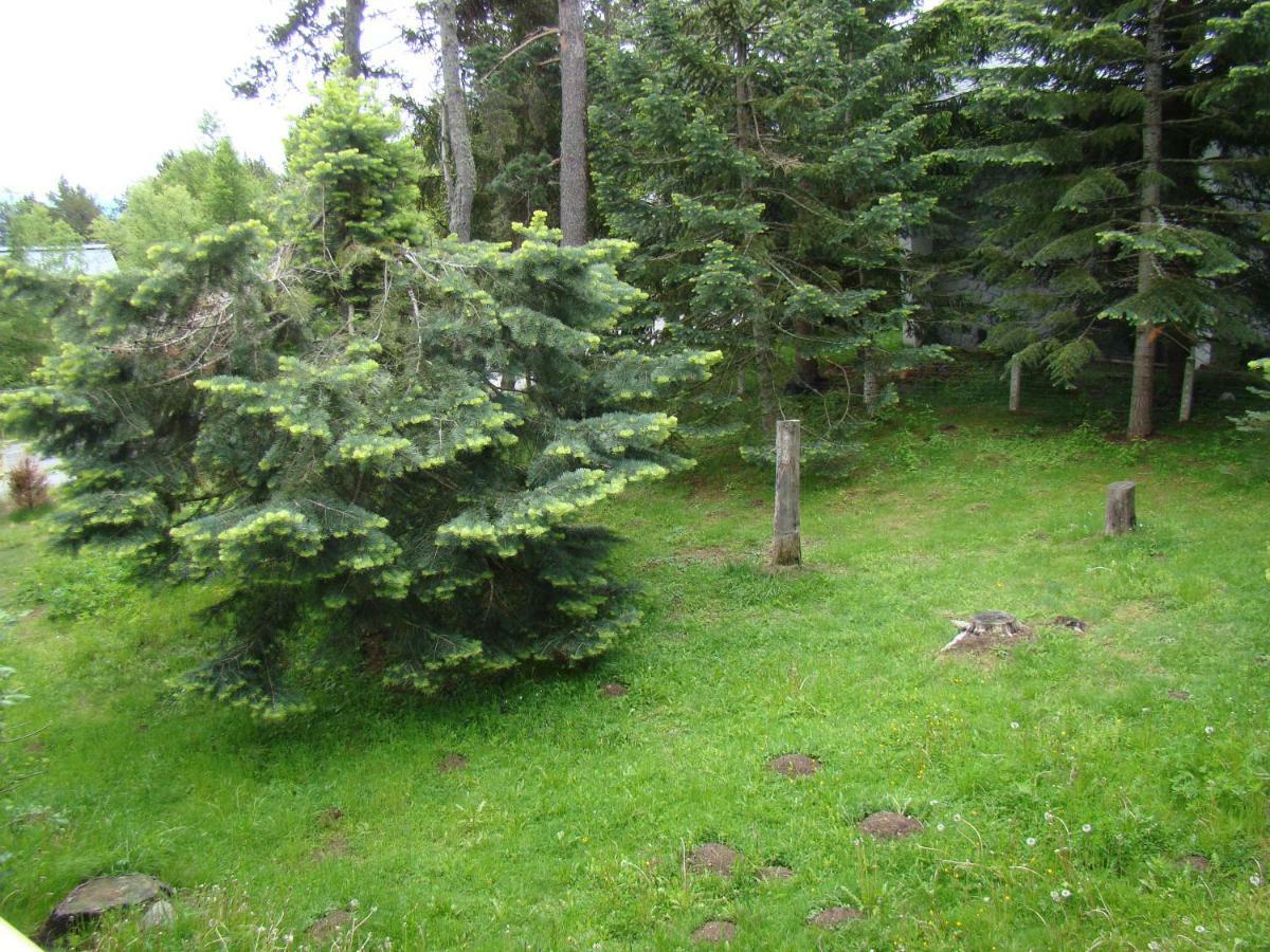 Chalet De L'Esquirol Bolquere Екстер'єр фото